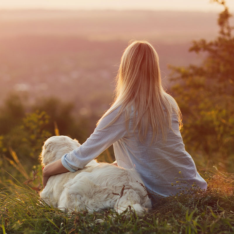 Pet owner and veterinarian sharing a compassionate moment during end-of-life care consultation
