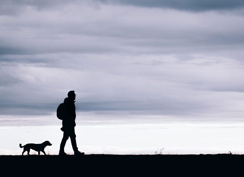 Veterinarian offering gentle end-of-life support to a pet and their owner at Cupertino Animal Hospital
