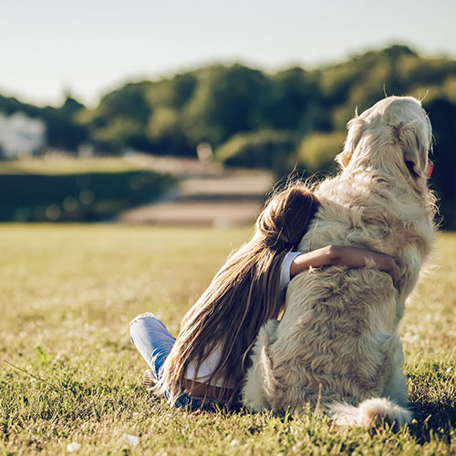 Grieving pet owner receiving compassionate support from veterinary staff during end-of-life pet care
