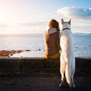 Pet owner and veterinarian sharing a comforting moment during end-of-life pet care consultation
